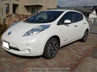 2013 NISSAN LEAF