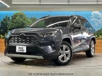 2019 TOYOTA RAV4 G