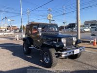 1989 JEEP WRANGLER 4WD