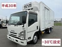 ISUZU Elf Truck