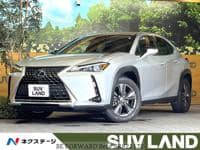 2019 LEXUS UX UX200C