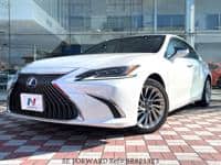 2019 LEXUS ES ES300HL