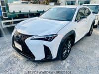 2019 LEXUS UX F