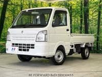 2019 SUZUKI CARRY TRUCK KC