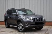 2019 TOYOTA LAND CRUISER AUTOMATIC DIESEL