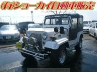 1995 MITSUBISHI JEEP