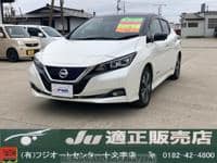 2019 NISSAN LEAF