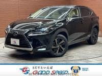 2018 LEXUS NX L