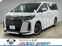 2019 TOYOTA ALPHARD HYBRID SR