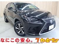 2018 LEXUS NX