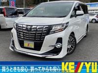 2017 TOYOTA ALPHARD