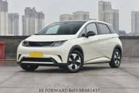 2024 BYD OTHERS