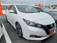 2019 NISSAN LEAF G