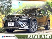 2019 LEXUS NX NX300F