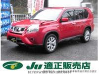 2013 NISSAN X-TRAIL