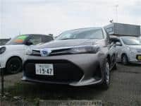 2023 TOYOTA COROLLA AXIO EX