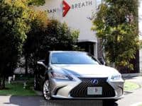 2018 LEXUS ES ES300HLSR/