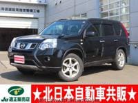 2012 NISSAN X-TRAIL