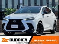 2022 LEXUS NX HV350HF4WDSTRD