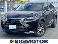 2014 LEXUS NX