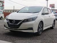 2019 NISSAN LEAF