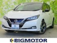 2019 NISSAN LEAF