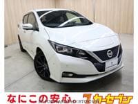 2019 NISSAN LEAF