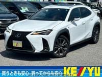 2019 LEXUS LEXUS OTHERS