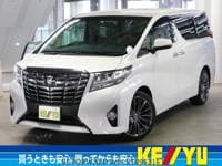 2015 TOYOTA ALPHARD