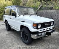 Used 1992 TOYOTA LAND CRUISER BT104053 for Sale