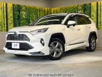 2019 TOYOTA RAV4 G