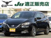 2019 NISSAN LEAF X