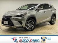 2018 LEXUS NX L