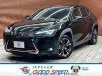 2019 LEXUS UX L