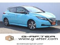 Used 2019 NISSAN LEAF BT125947 for Sale