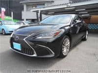 2019 LEXUS ES 300HL