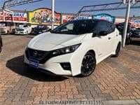 2019 NISSAN LEAF