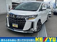 2018 TOYOTA ALPHARD HYBRID