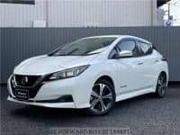 2019 NISSAN LEAF X