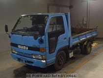 Used 1992 ISUZU ELF TRUCK BY309442 for Sale