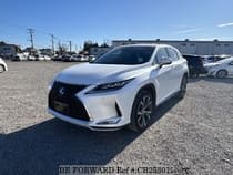 Used 2019 LEXUS RX CB253012 for Sale