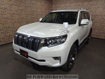 Used 2018 TOYOTA LAND CRUISER PRADO CB325865 for Sale