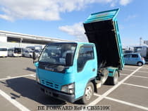 Used 2006 ISUZU ELF TRUCK CB351090 for Sale