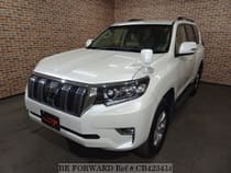 Used 2019 TOYOTA LAND CRUISER PRADO CB423414 for Sale