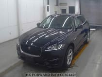 Used 2019 JAGUAR F-PACE CC814428 for Sale