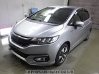 FIT HYBRID F