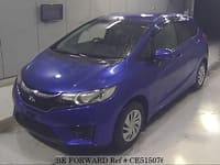 FIT 13G F PACKAGE