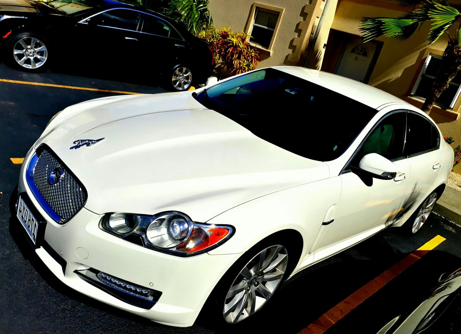 Best Price Used JAGUAR XF for Sale Japanese Used Cars BE