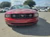 FORD Mustang (1)