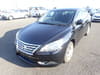 NISSAN Sylphy (67)